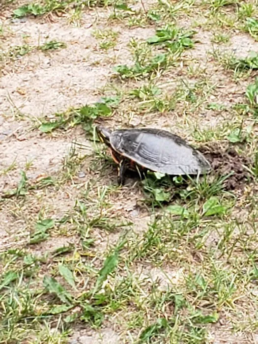 Lakeview Park Inc. Picture 1