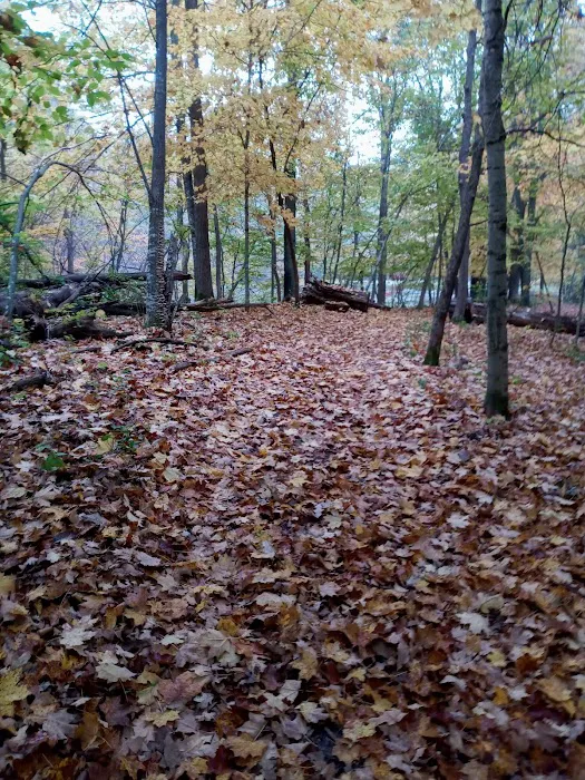 Lakeview Park Inc. Picture 10