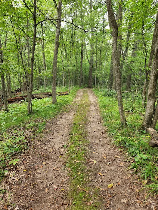 Lakeview Park Inc. Picture 8