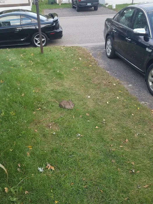 Restwood Terrace Mobile Home Picture 6