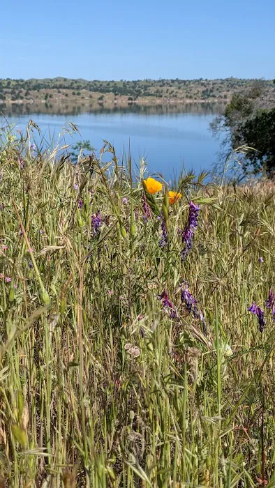 Codorniz Recreation Area Campground Picture 10