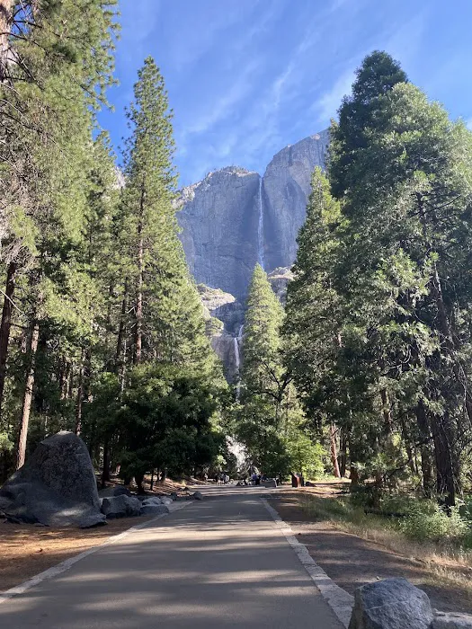 Camp 4 Yosemite Valley Picture 9