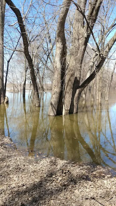 Wills Riverview Campground Picture 3