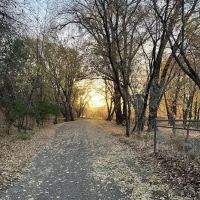 Wills Riverview Campground ico