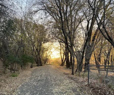 Wills Riverview Campground