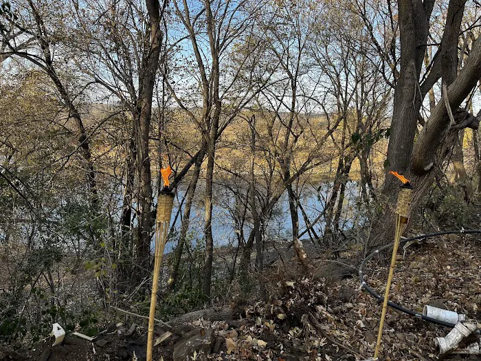 Wills Riverview Campground Picture 4