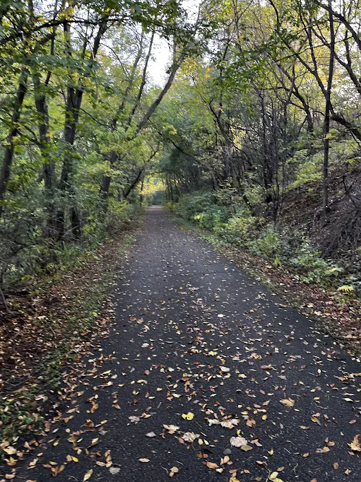 Wills Riverview Campground Picture 10