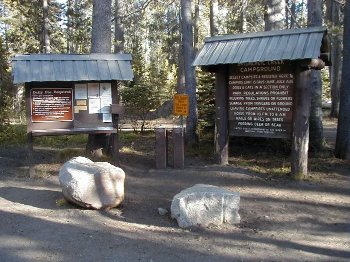 Bridalveil Creek Campground Picture 1