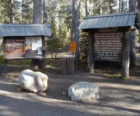 Bridalveil Creek Campground