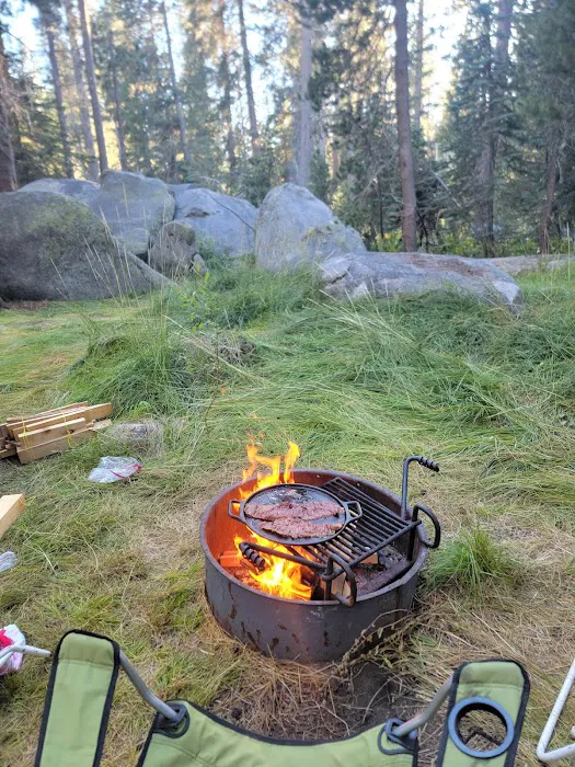 Bridalveil Creek Campground Picture 4