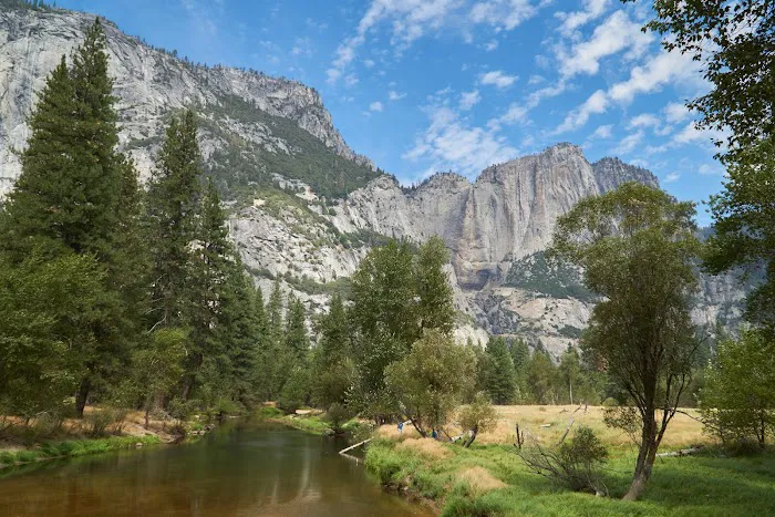 Bridalveil Creek Campground Picture 9