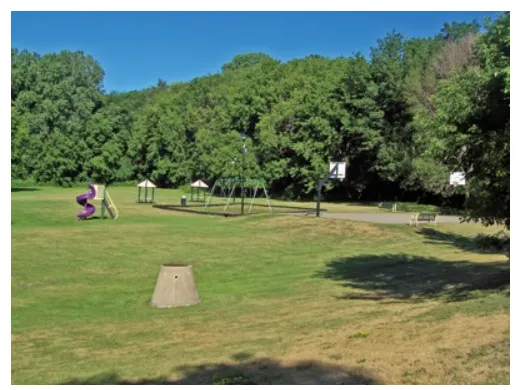 Brandondale Estates Picture 5