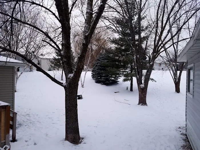 Brandondale Estates Picture 6