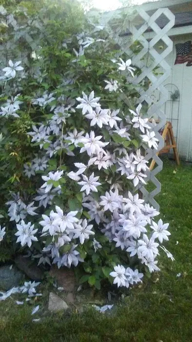 Valley Green Mobile Homes Park Picture 7