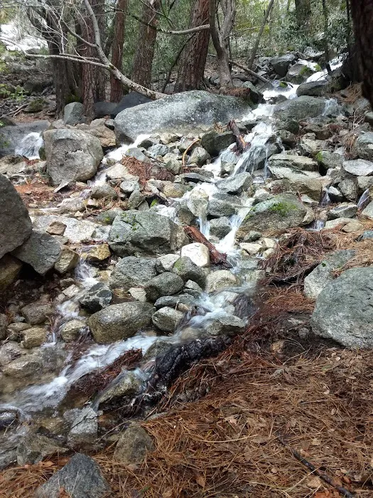 Backpacker's Campground Picture 6