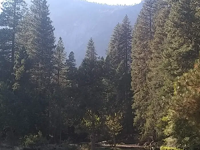 Backpacker's Campground Picture 9