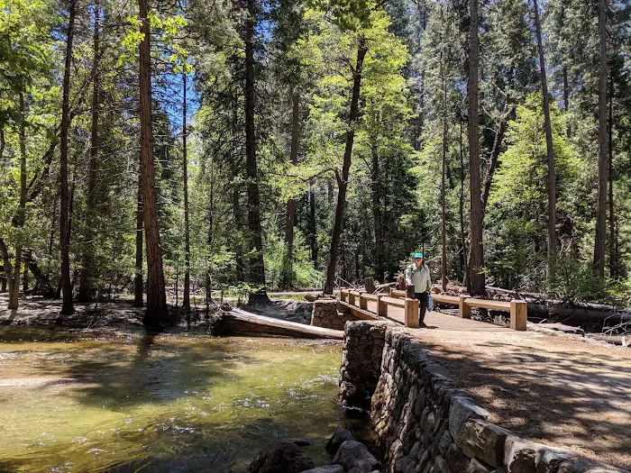 Backpacker's Campground Picture 10