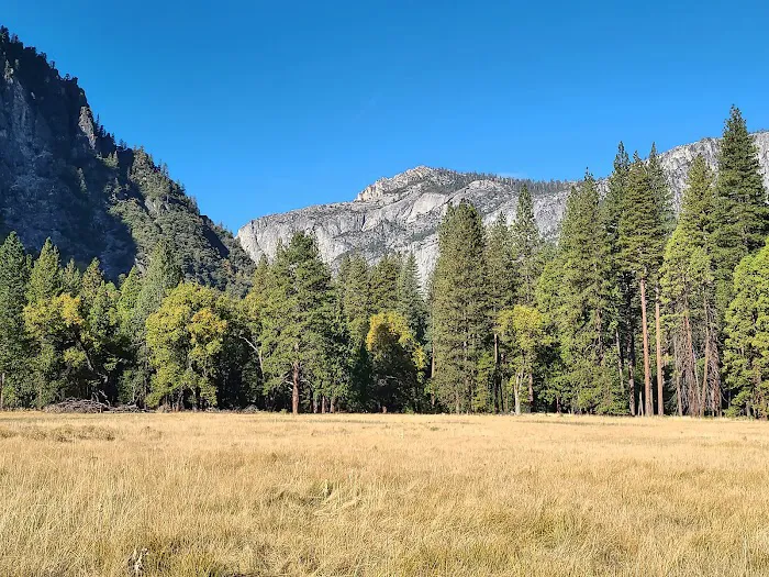 Lower Pines Campground Picture 2