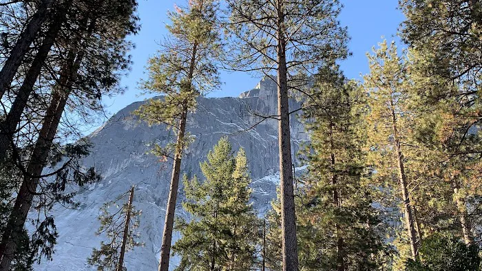 Lower Pines Campground Picture 5