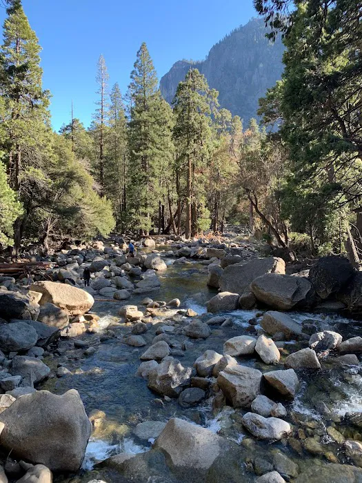 Lower Pines Campground Picture 9