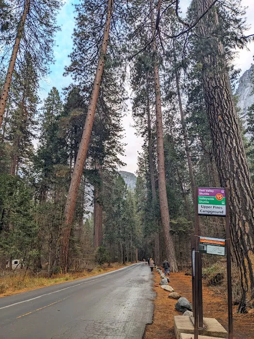 Valley Shuttle Stop #15: Upper Pines Campground Picture 4