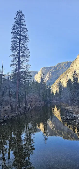 Valley Shuttle Stop #15: Upper Pines Campground Picture 8