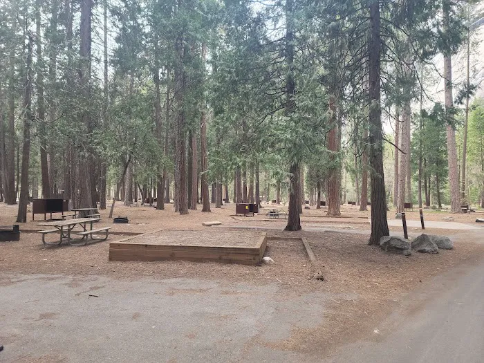 North Pines Campground Picture 3