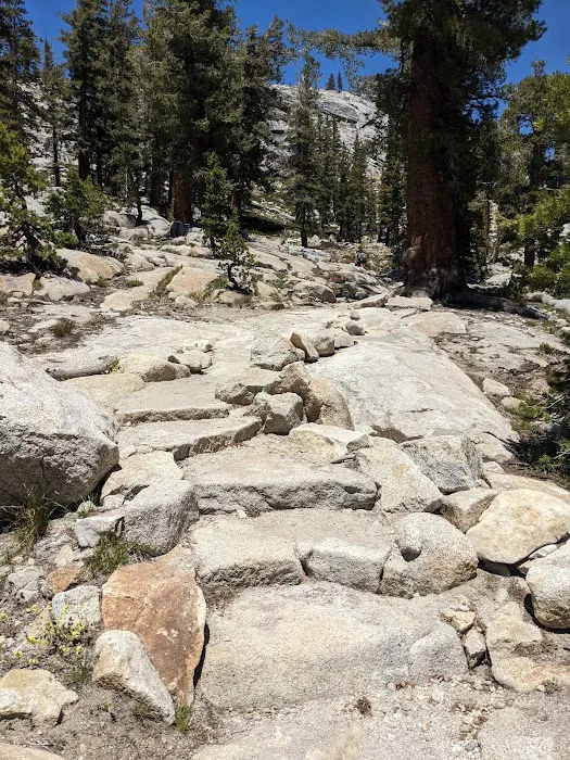 May Lake High Sierra Camp Picture 1
