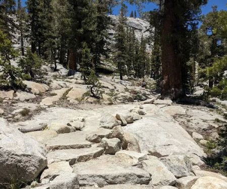 May Lake High Sierra Camp