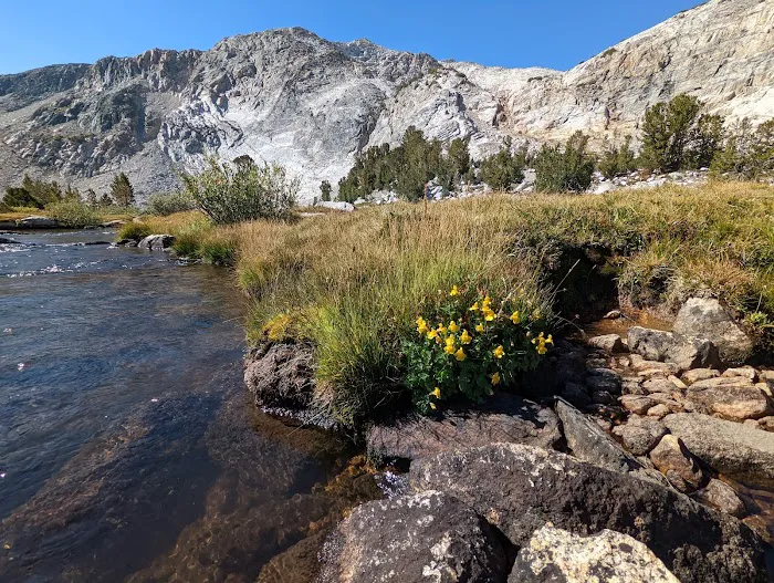 May Lake High Sierra Camp Picture 5