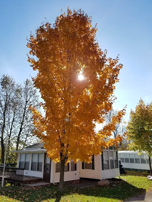 Hillcrest Park & Marina Picture 6