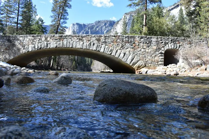 Upper Pines Campground Picture 1