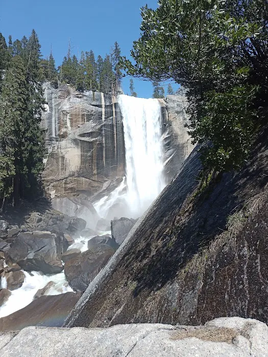 Upper Pines Campground Picture 6