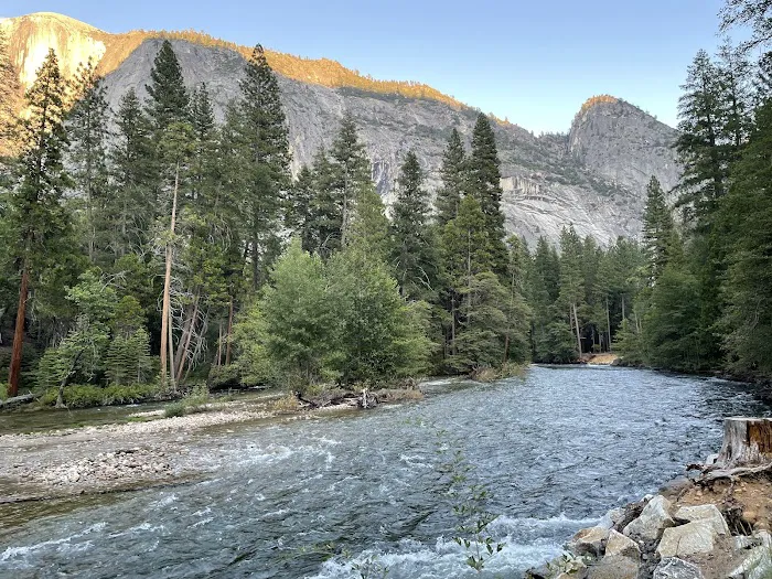 Upper Pines Campground Picture 2