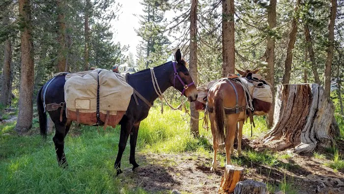 Sunrise High Sierra Camp Picture 8