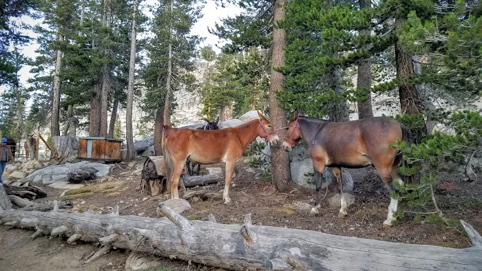 Sunrise High Sierra Camp Picture 7