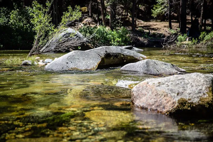 Wawona Campground Picture 2
