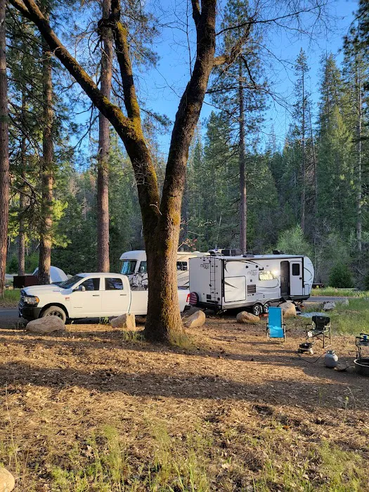 Wawona Campground Picture 1