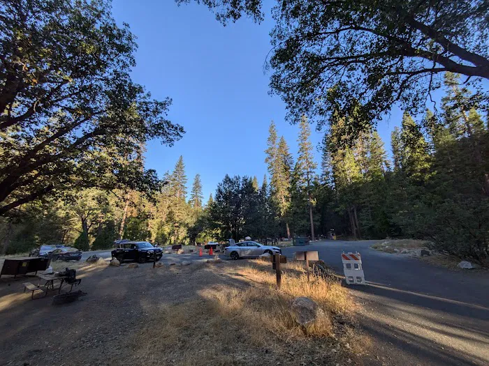 Wawona Campground Picture 6