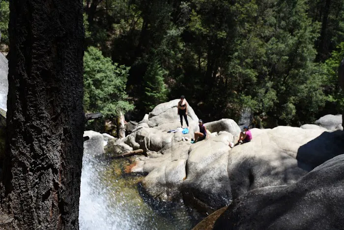 Wawona Campground Picture 8