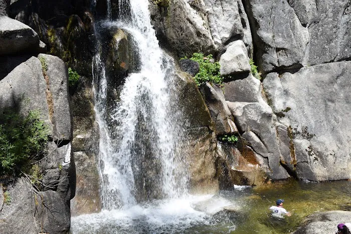 Wawona Campground Picture 7