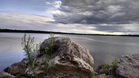 Linwood Terrace Picture 1