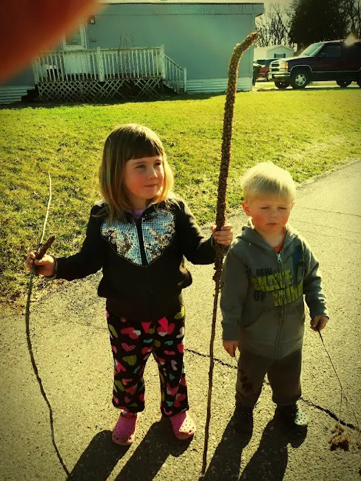 Linwood Terrace Picture 8