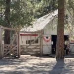 Pioneer Yosemite Campground Reservation