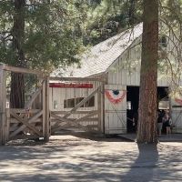 Pioneer Yosemite Campground Reservation ico