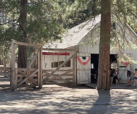 Pioneer Yosemite Campground Reservation