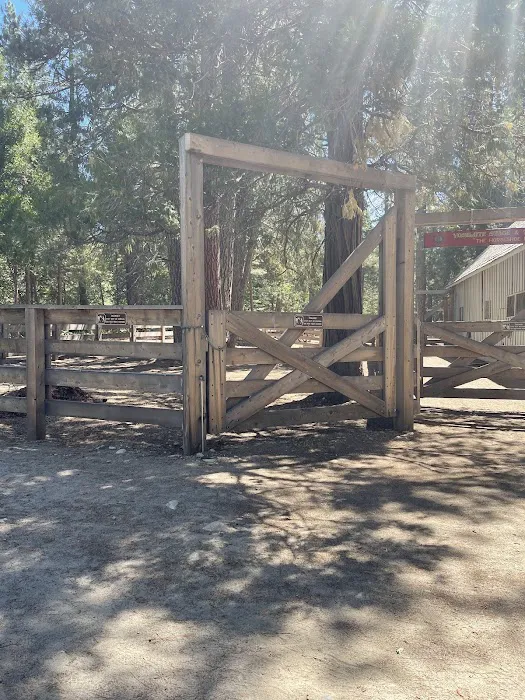 Pioneer Yosemite Campground Reservation Picture 2