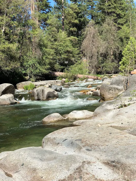 Pioneer Yosemite Campground Reservation Picture 10