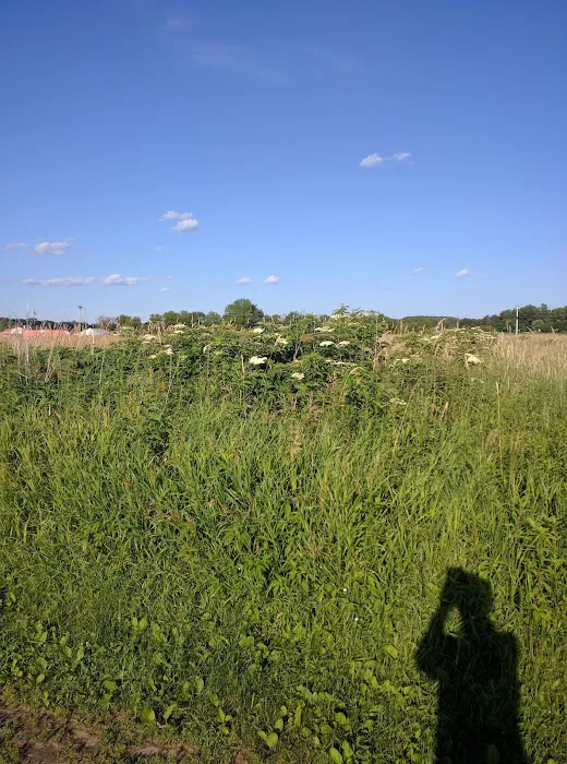 Cedarwood Estates Picture 4