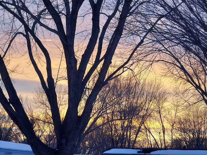 Cedarwood Estates Picture 5